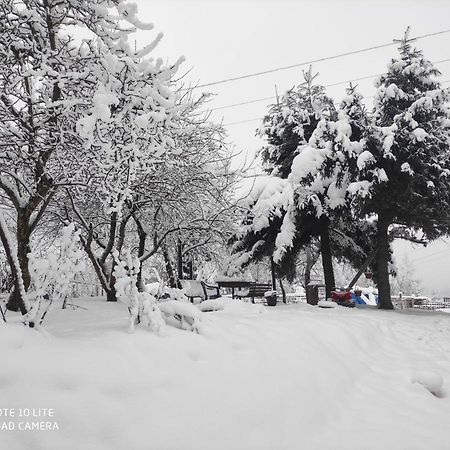 Gromadzyniówka-Pod czarnym kogutem Apartamento Ustrzyki Dolne Exterior foto